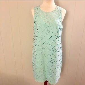 NWT J. Crew Floral Cut Shift Dress